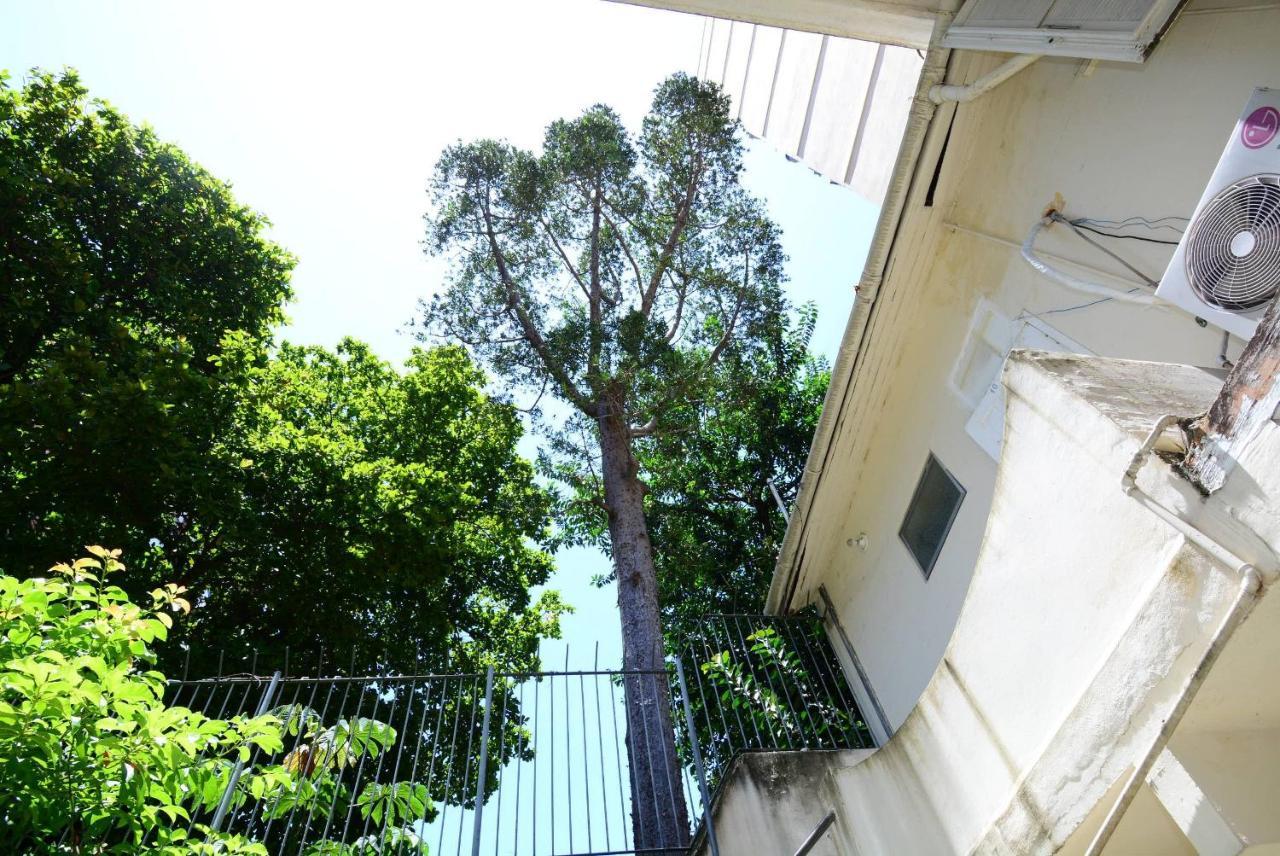 Cozy Flamengo - 3 Hospedes, Conforto E Privativo! Ріо-де-Жанейро Екстер'єр фото